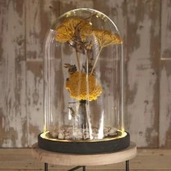 Budget 🎉 Creavea Cloche En Verre Avec Socle Noir Lumineux- 17 X 25,5 Cm 😀 6 Budget 🎉 Creavea Cloche En Verre Avec Socle Noir Lumineux- 17 X 25,5 Cm 😀 -Lampe et luminaire Soldes unnamed file 11