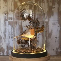 Budget 🎉 Creavea Cloche En Verre Avec Socle Noir Lumineux- 17 X 25,5 Cm 😀 7 Budget 🎉 Creavea Cloche En Verre Avec Socle Noir Lumineux- 17 X 25,5 Cm 😀 -Lampe et luminaire Soldes unnamed file 12