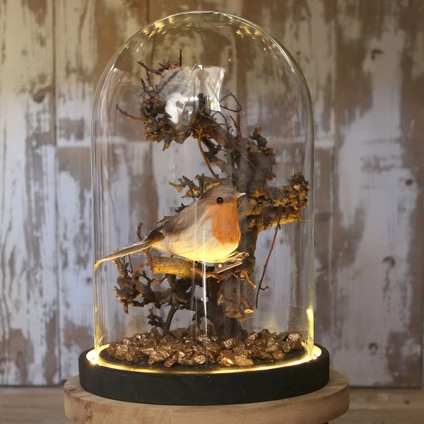 Budget 🎉 Creavea Cloche En Verre Avec Socle Noir Lumineux- 17 X 25,5 Cm 😀 4 Budget 🎉 Creavea Cloche En Verre Avec Socle Noir Lumineux- 17 X 25,5 Cm 😀 – Image 4