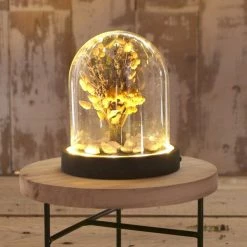 Lampe et luminaire Soldes -Lampe et luminaire Soldes unnamed file 402